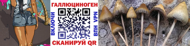 Галлюциногенные грибы Cubensis  Макушино 
